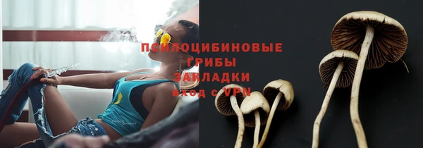 сатива Балабаново
