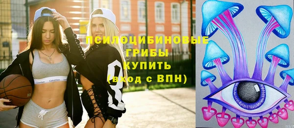 сатива Балабаново