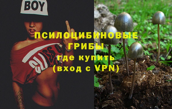 ALPHA PVP Балахна
