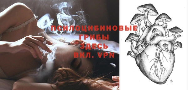 spice Беломорск