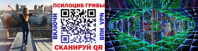 закладки  сайты даркнета состав  мега ссылки  Псилоцибиновые грибы MAGIC MUSHROOMS  Семикаракорск 